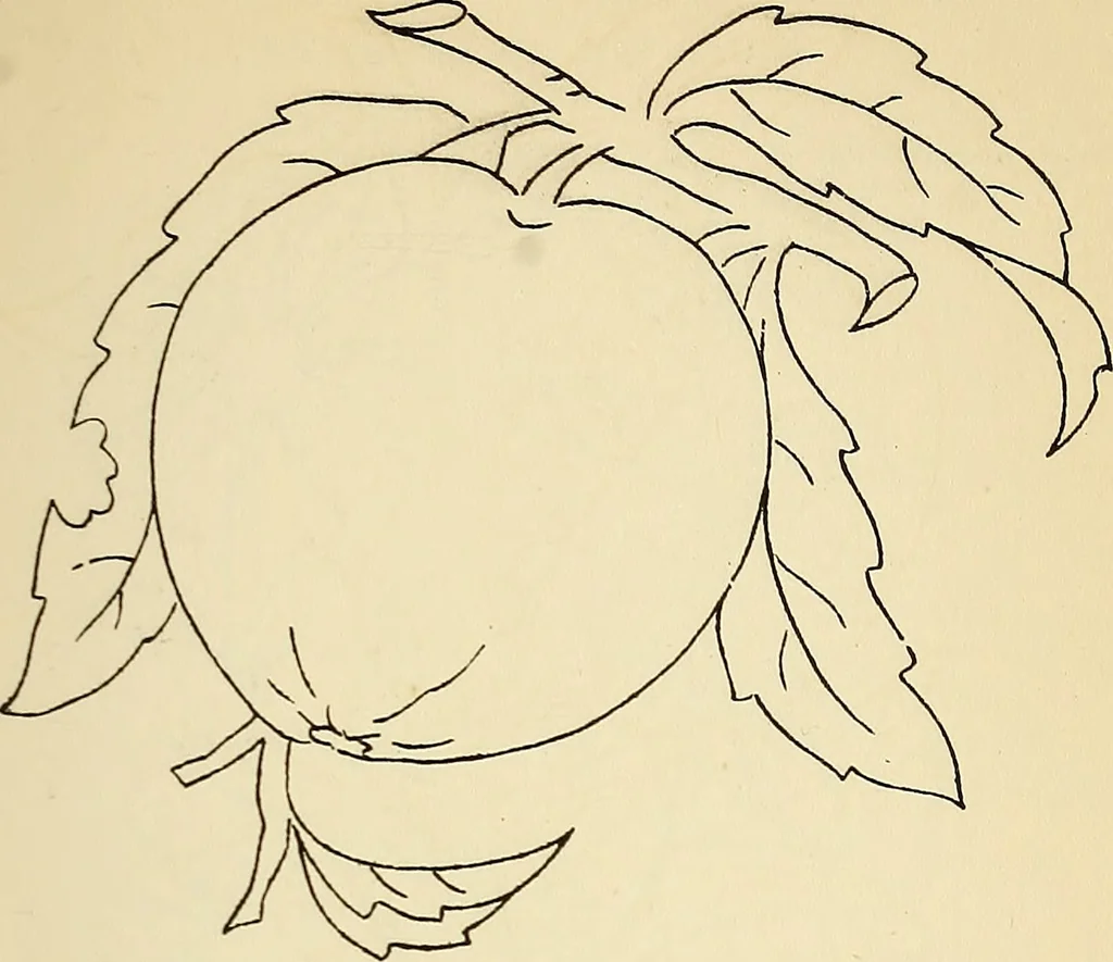 An illustration from Briggs' patent transferring designs, 1880, leaf 92