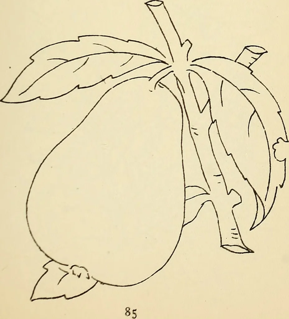 An illustration from Briggs' patent transferring designs, 1880, leaf 92