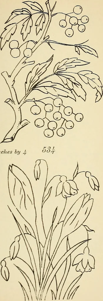 An illustration from Briggs' patent transferring designs, 1880, leaf 94