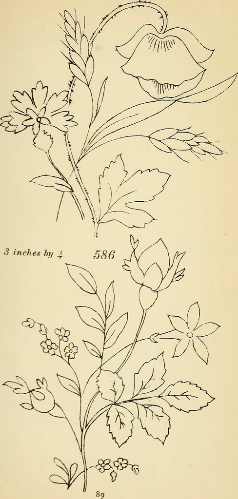 An illustration from Briggs' patent transferring designs, 1880, leaf 96