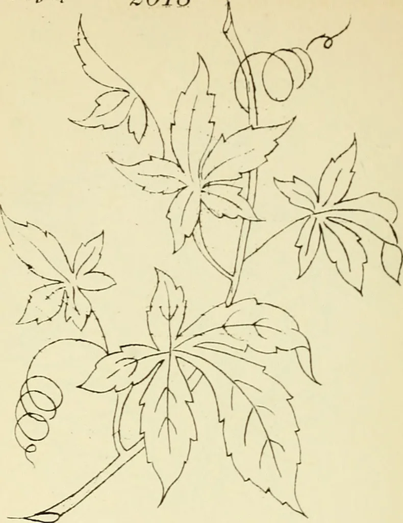 An illustration from Briggs' patent transferring designs, 1880, leaf 97