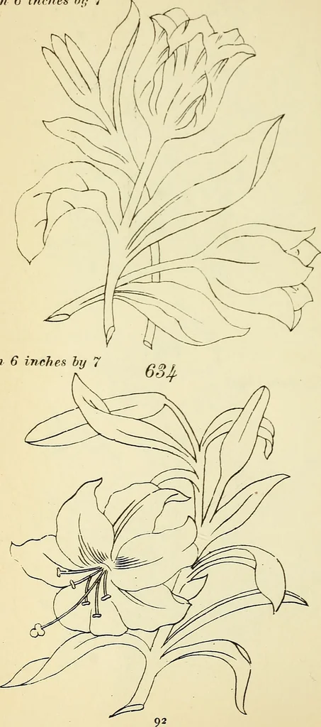 An illustration from Briggs' patent transferring designs, 1880, leaf 99