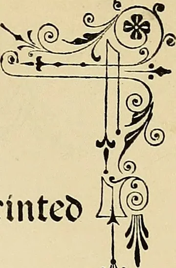 An illustration from Briggs & Co.'s patent transferring papers : patented for the United States of America, 1880, leaf 10