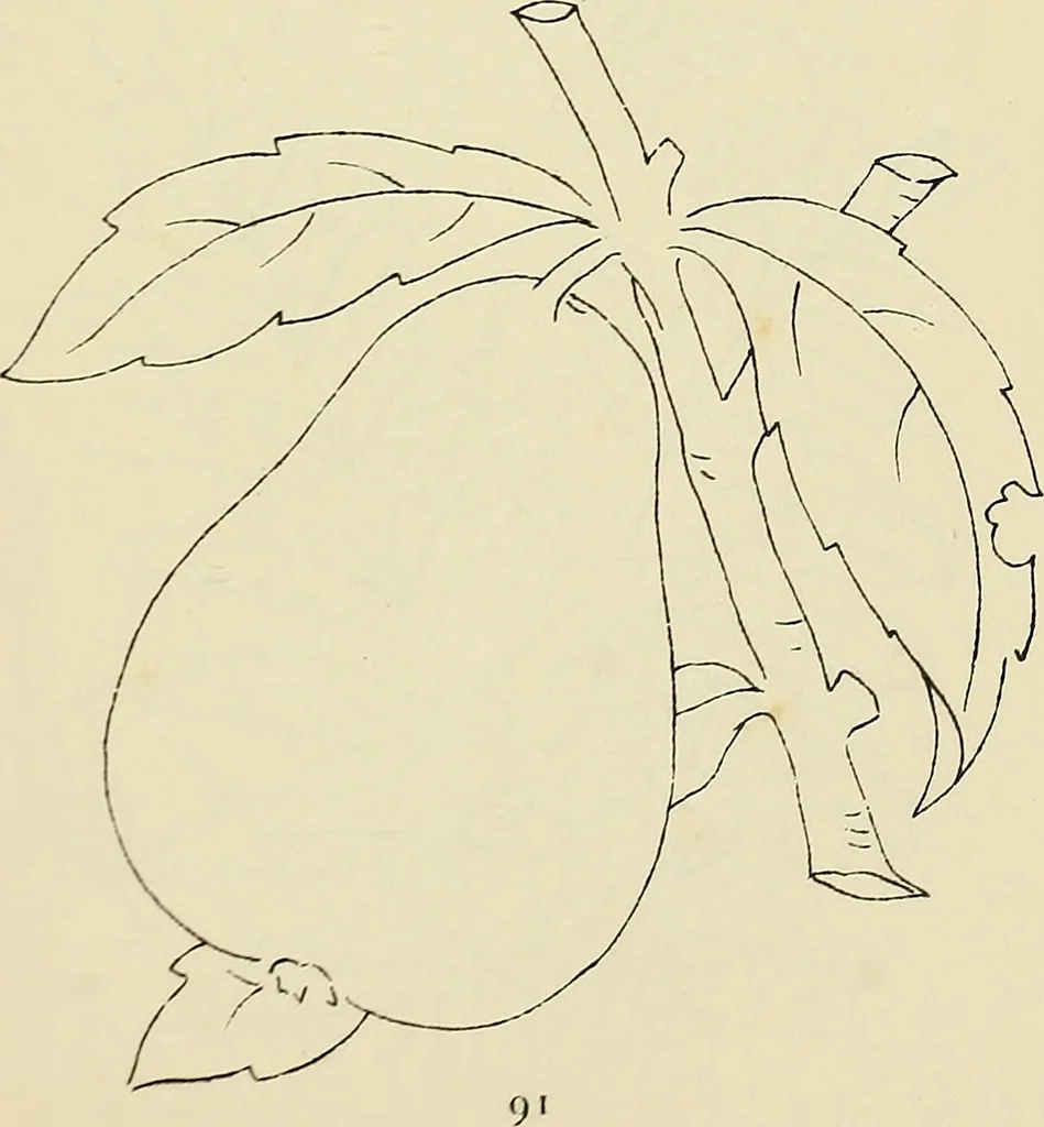 An illustration from Briggs & Co.'s patent transferring papers : patented for the United States of America, 1880, leaf 100