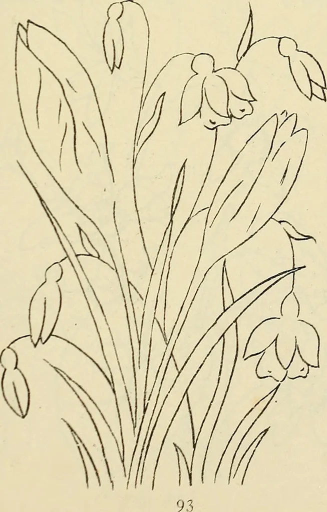 An illustration from Briggs & Co.'s patent transferring papers : patented for the United States of America, 1880, leaf 102