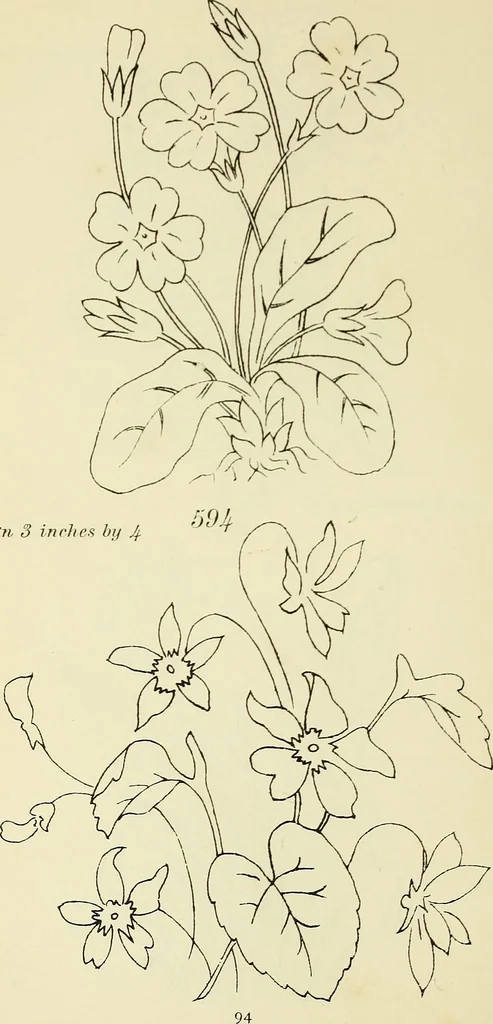 An illustration from Briggs & Co.'s patent transferring papers : patented for the United States of America, 1880, leaf 103