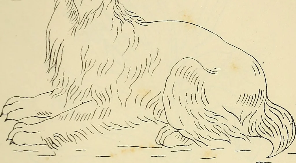 An illustration from Briggs & Co.'s patent transferring papers : patented for the United States of America, 1880, leaf 108