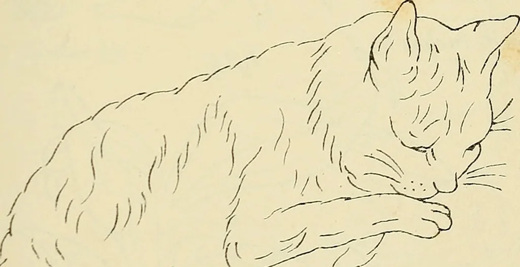 An illustration from Briggs & Co.'s patent transferring papers : patented for the United States of America, 1880, leaf 108