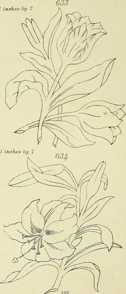 An illustration from Briggs & Co.'s patent transferring papers : patented for the United States of America, 1880, leaf 109
