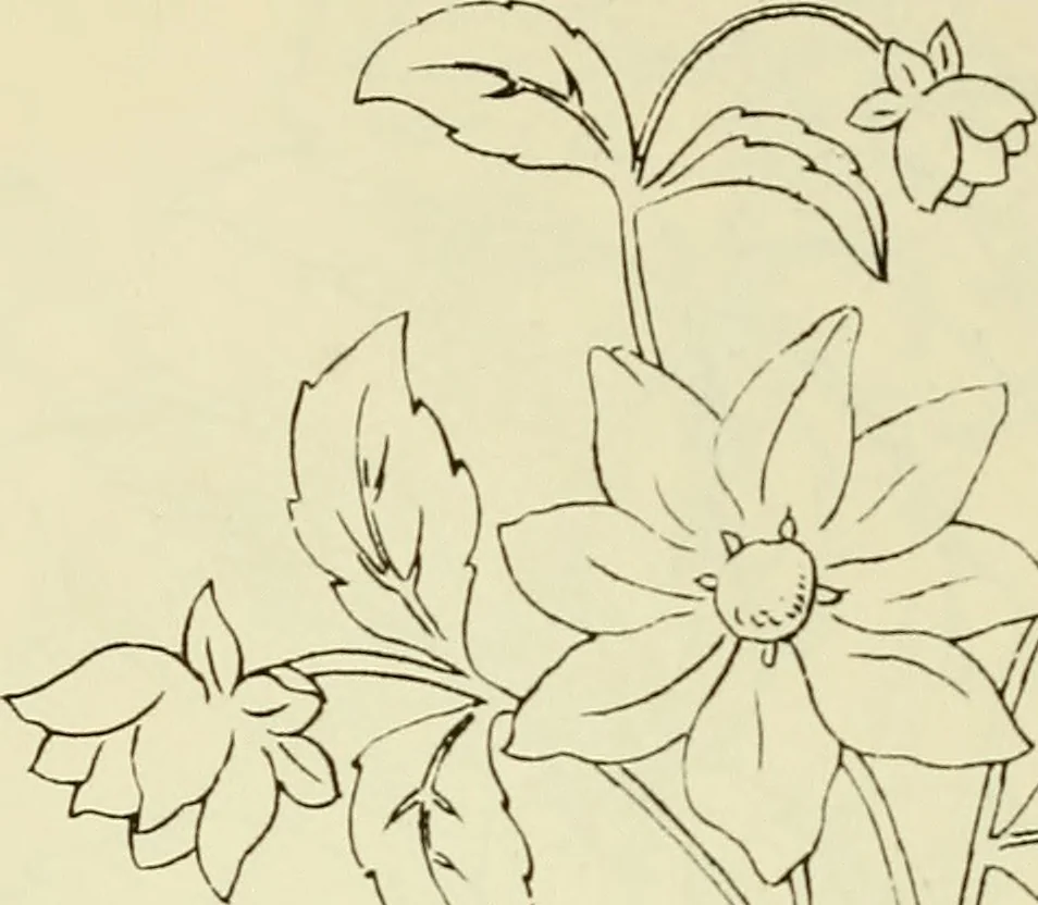 An illustration from Briggs & Co.'s patent transferring papers : patented for the United States of America, 1880, leaf 117