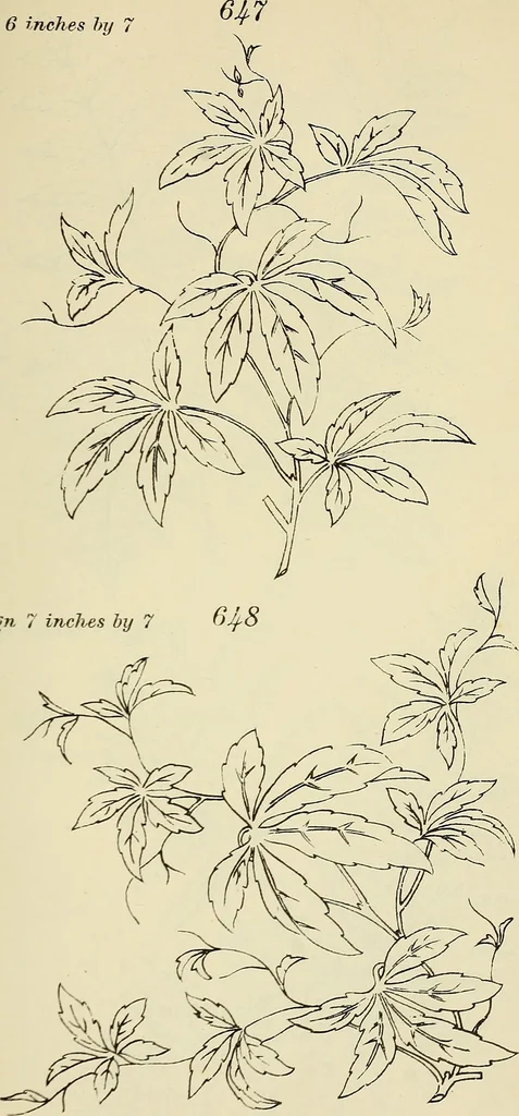 An illustration from Briggs & Co.'s patent transferring papers : patented for the United States of America, 1880, leaf 118