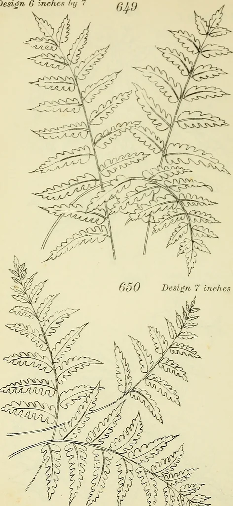 An illustration from Briggs & Co.'s patent transferring papers : patented for the United States of America, 1880, leaf 119