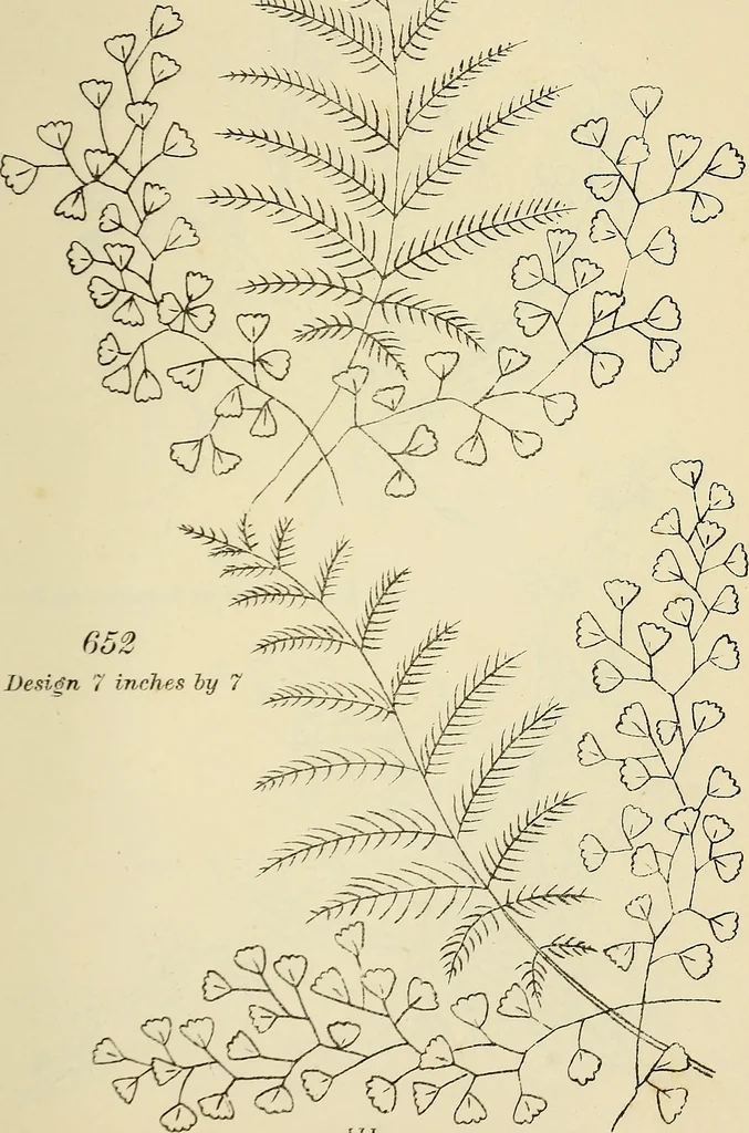 An illustration from Briggs & Co.'s patent transferring papers : patented for the United States of America, 1880, leaf 120
