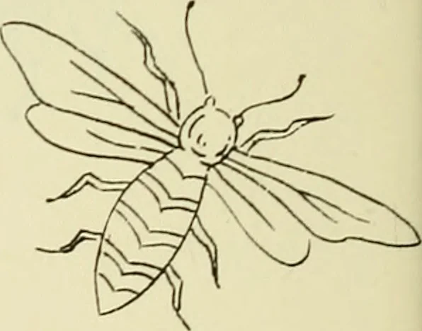 An illustration from Briggs & Co.'s patent transferring papers : patented for the United States of America, 1880, leaf 143