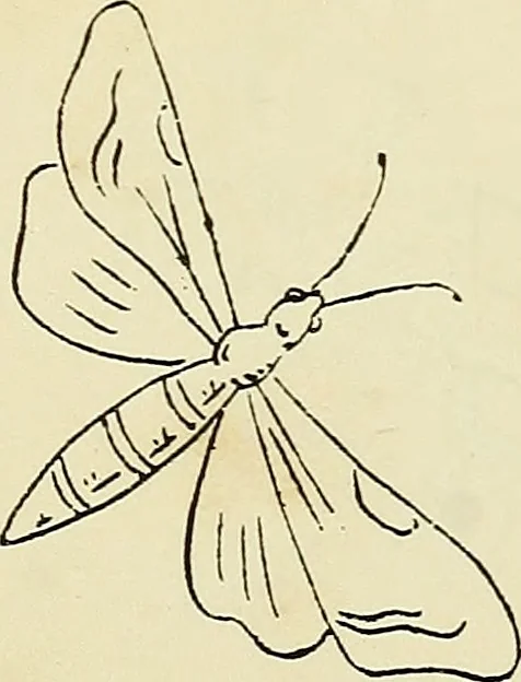 An illustration from Briggs & Co.'s patent transferring papers : patented for the United States of America, 1880, leaf 143