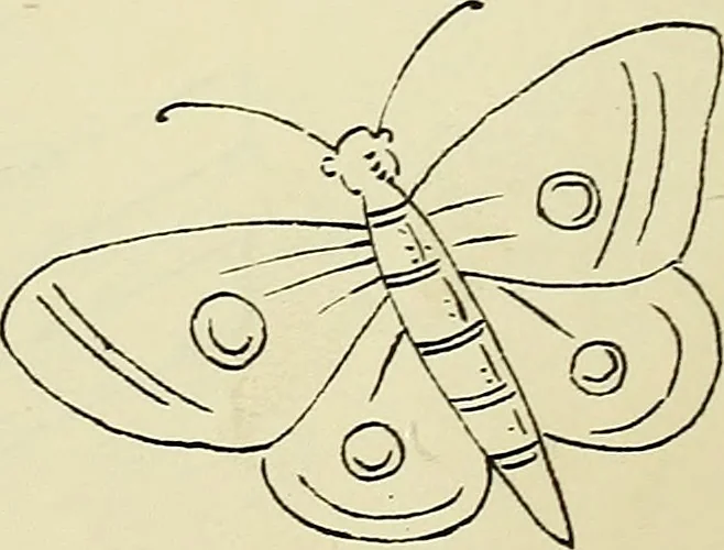 An illustration from Briggs & Co.'s patent transferring papers : patented for the United States of America, 1880, leaf 143