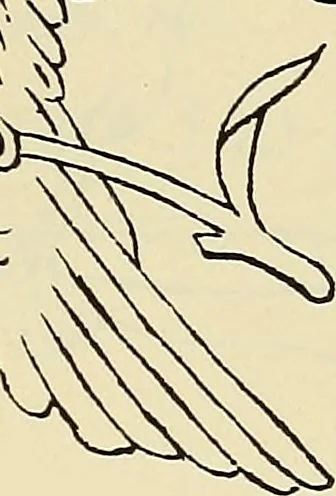 An illustration from Briggs & Co.'s patent transferring papers : patented for the United States of America, 1880, leaf 144