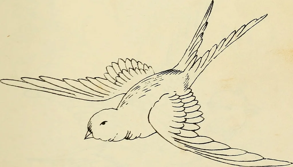 An illustration from Briggs & Co.'s patent transferring papers : patented for the United States of America, 1880, leaf 144