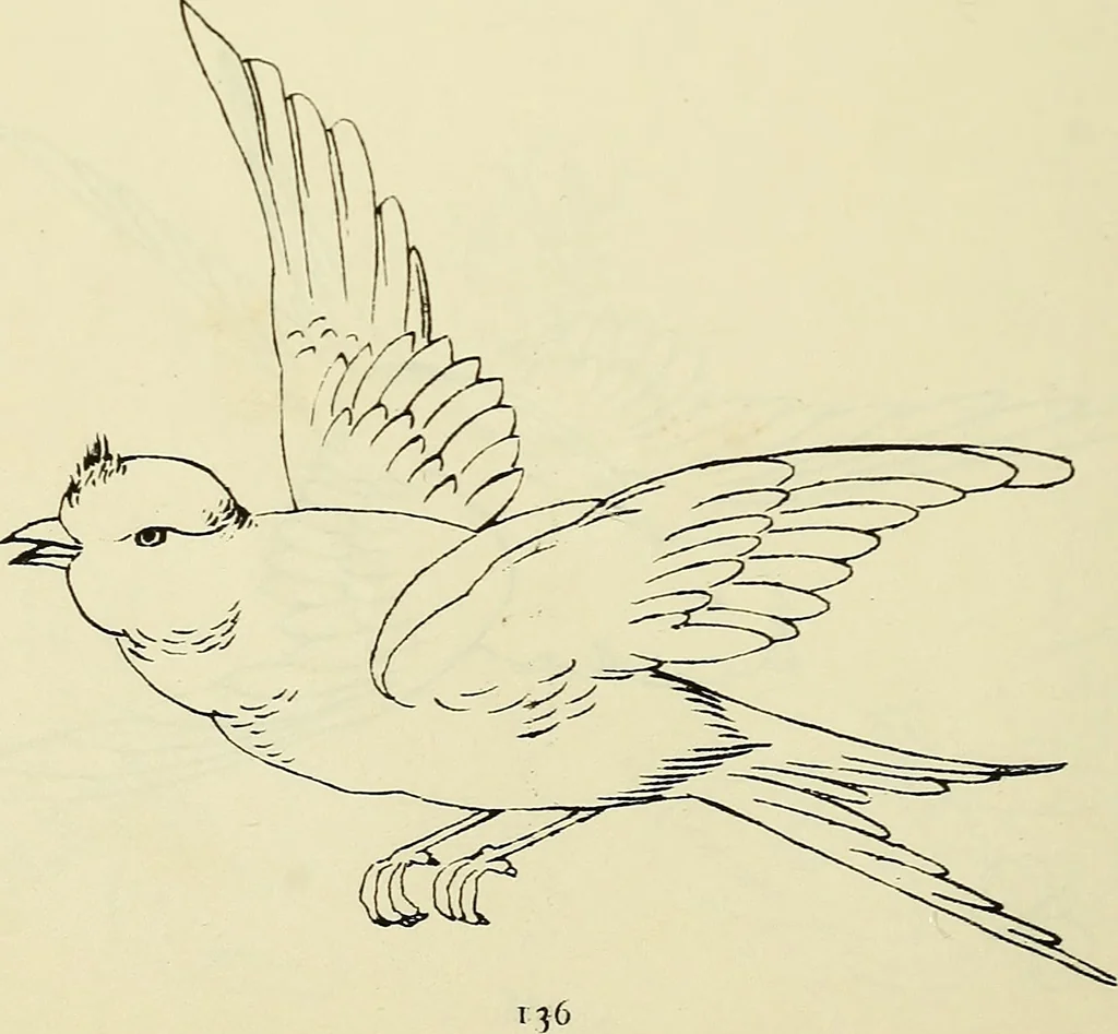 An illustration from Briggs & Co.'s patent transferring papers : patented for the United States of America, 1880, leaf 145