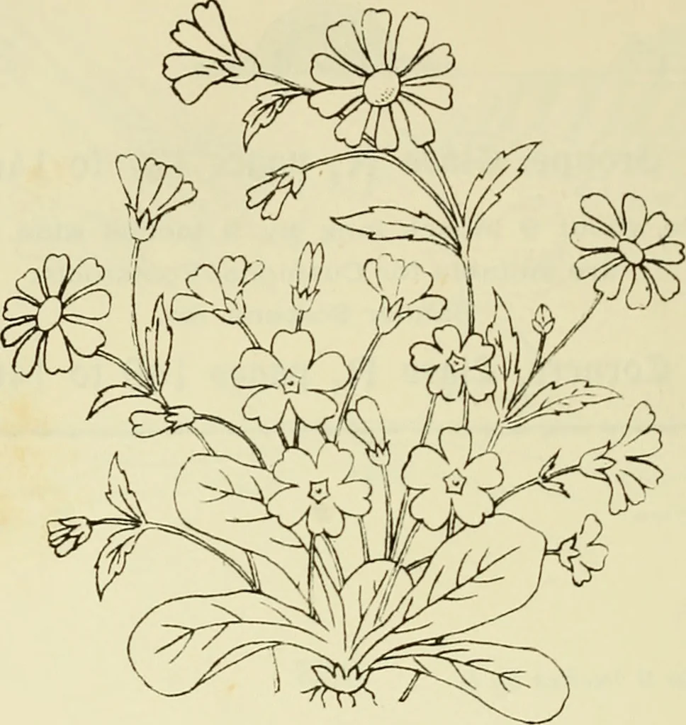 An illustration from Briggs & Co.'s patent transferring papers : patented for the United States of America, 1880, leaf 147