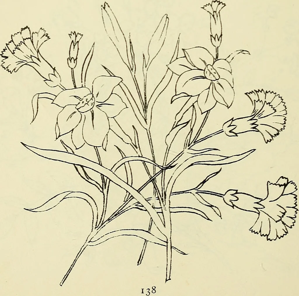 An illustration from Briggs & Co.'s patent transferring papers : patented for the United States of America, 1880, leaf 147