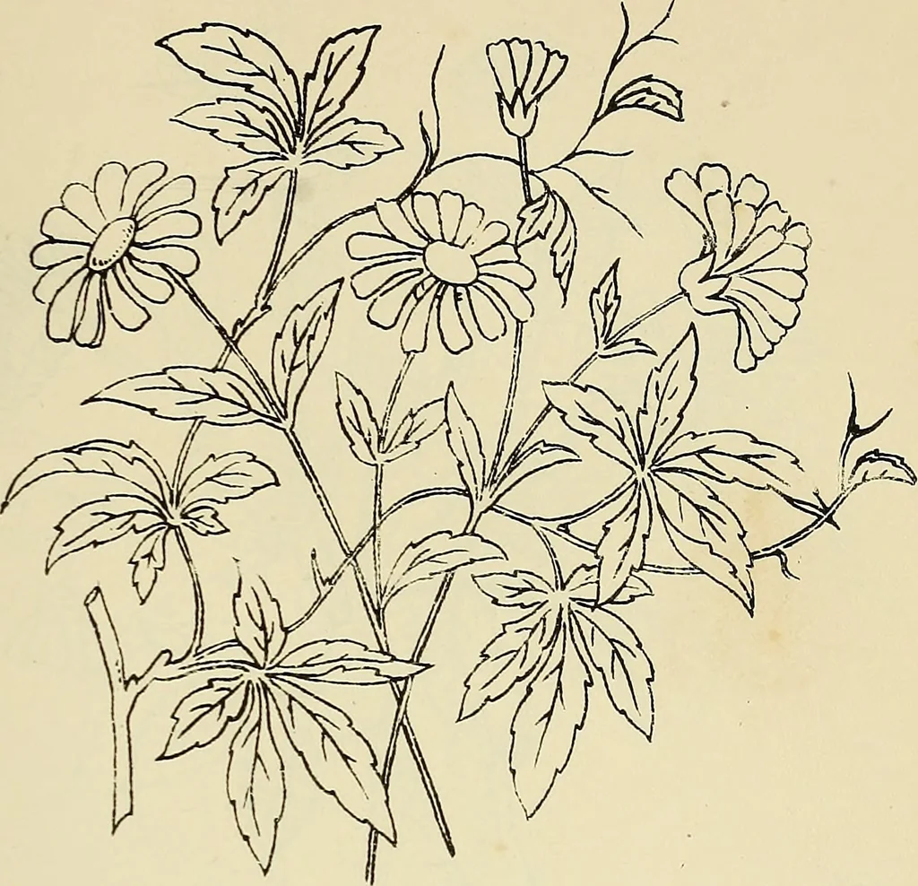 An illustration from Briggs & Co.'s patent transferring papers : patented for the United States of America, 1880, leaf 148