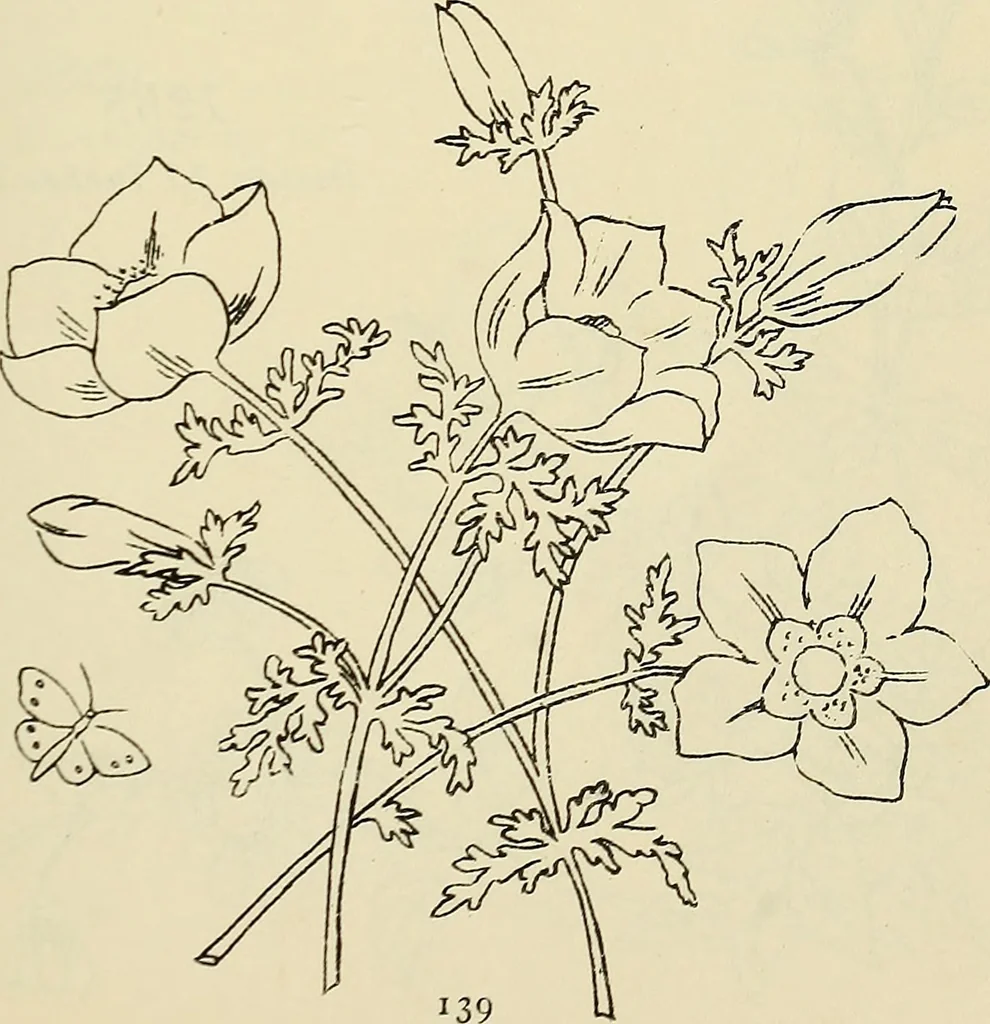 An illustration from Briggs & Co.'s patent transferring papers : patented for the United States of America, 1880, leaf 148