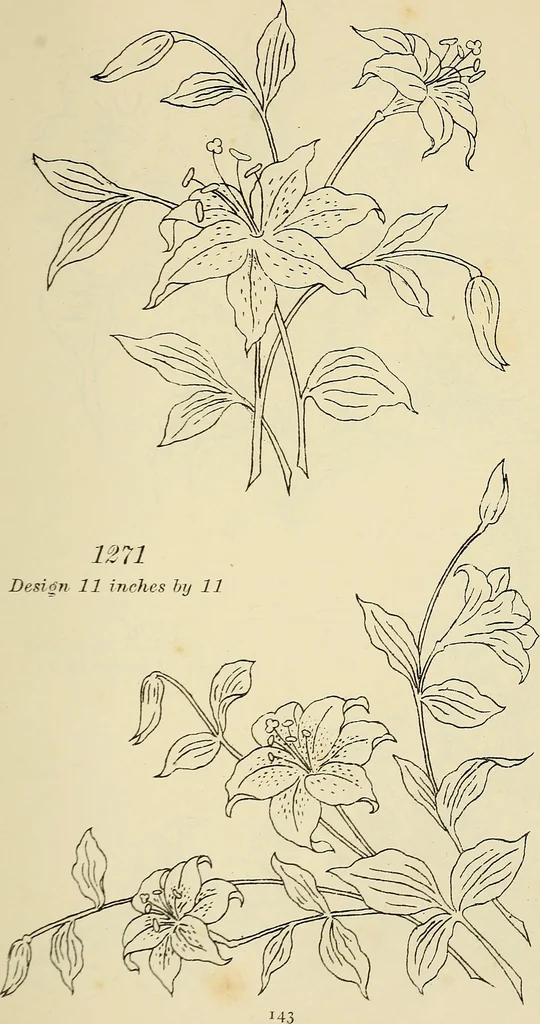 An illustration from Briggs & Co.'s patent transferring papers : patented for the United States of America, 1880, leaf 152