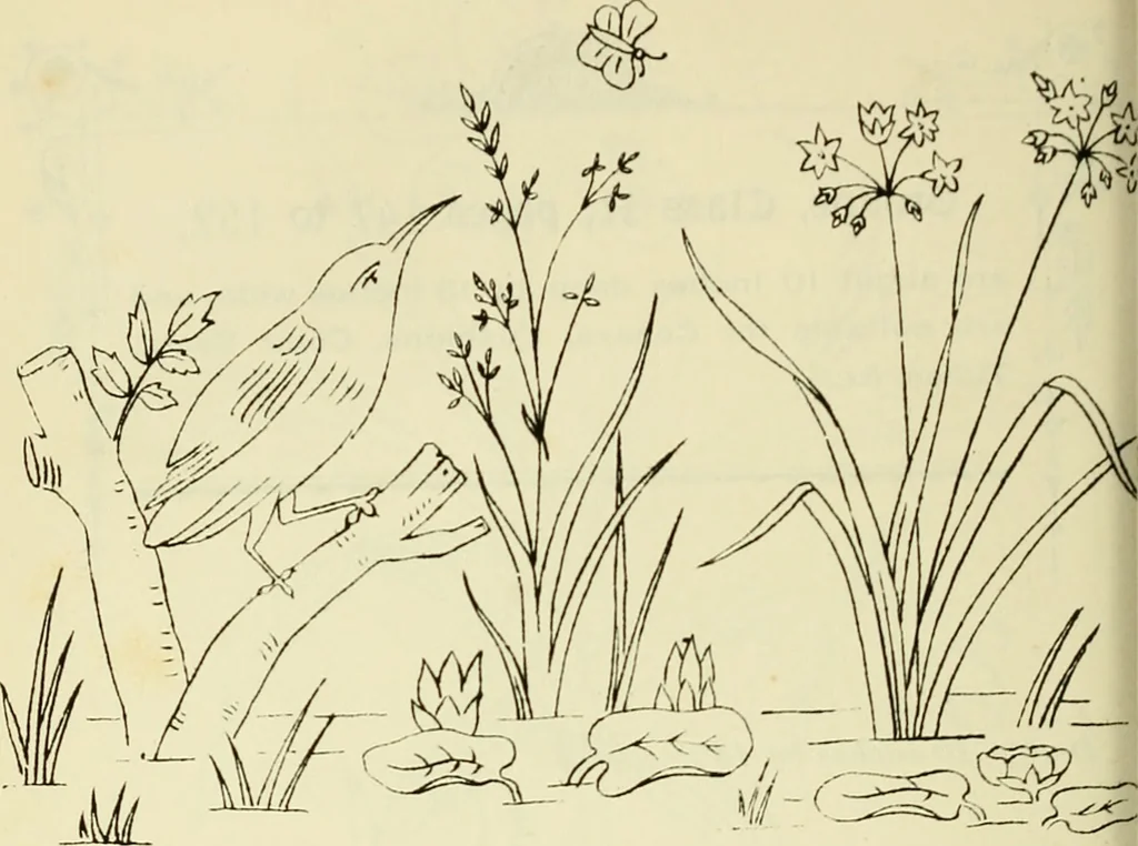 An illustration from Briggs & Co.'s patent transferring papers : patented for the United States of America, 1880, leaf 157