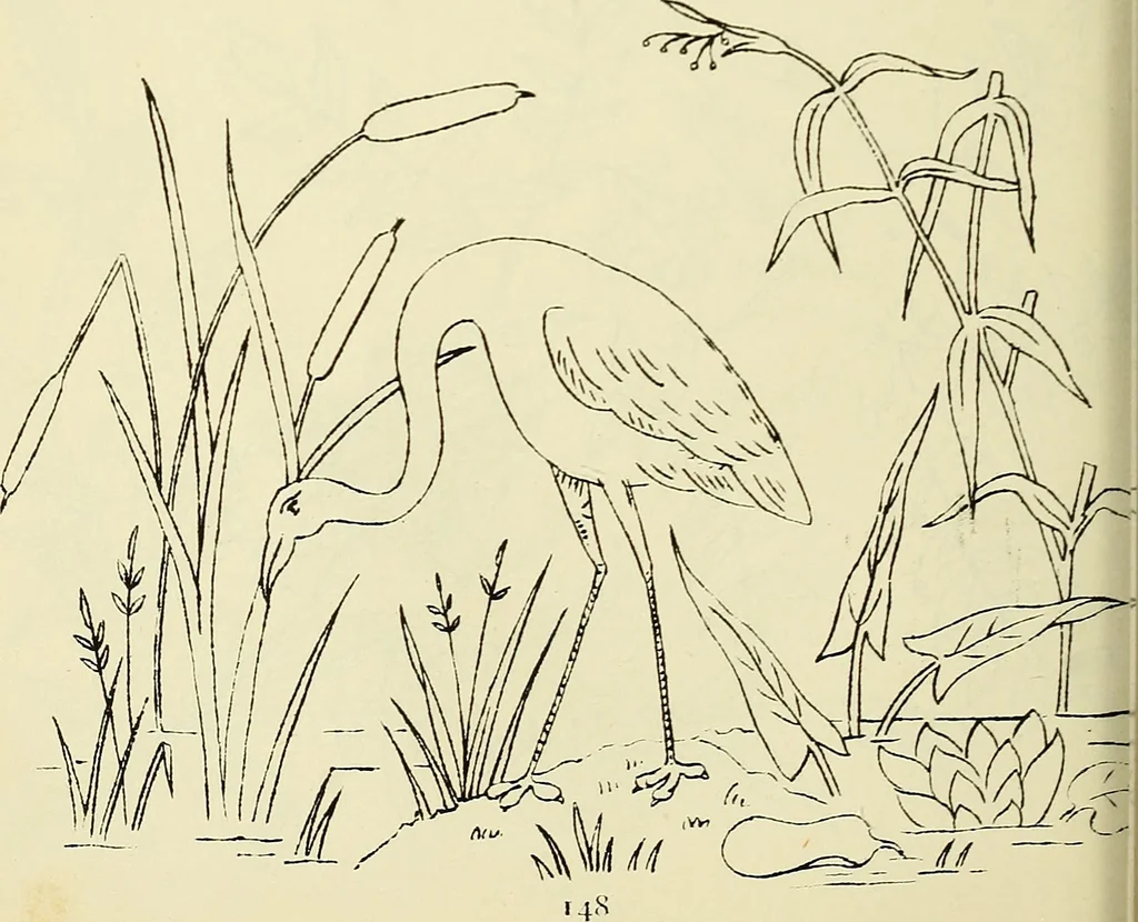 An illustration from Briggs & Co.'s patent transferring papers : patented for the United States of America, 1880, leaf 157