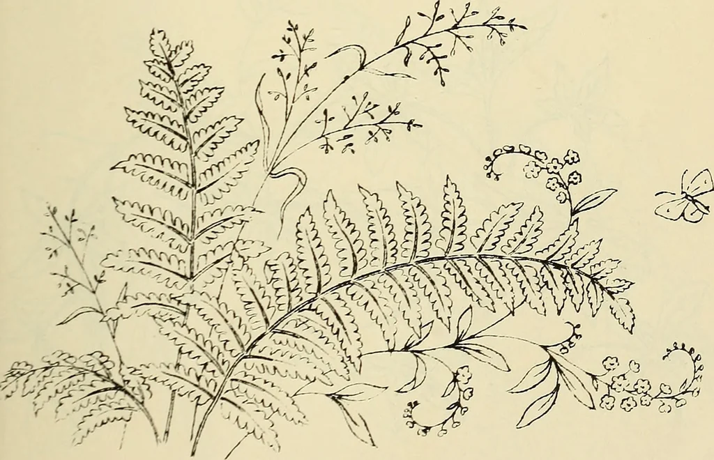 An illustration from Briggs & Co.'s patent transferring papers : patented for the United States of America, 1880, leaf 158