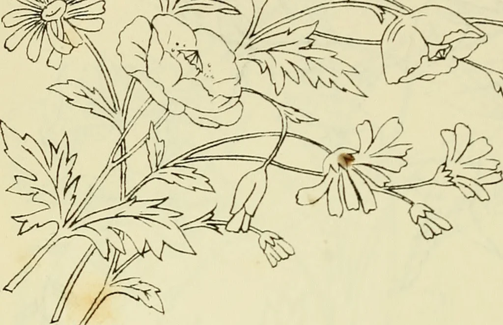 An illustration from Briggs & Co.'s patent transferring papers : patented for the United States of America, 1880, leaf 159