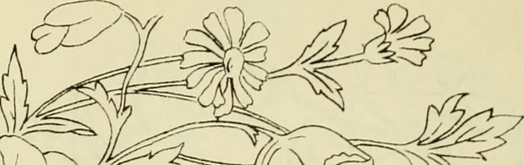 An illustration from Briggs & Co.'s patent transferring papers : patented for the United States of America, 1880, leaf 159
