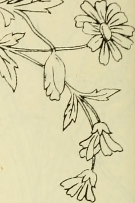 An illustration from Briggs & Co.'s patent transferring papers : patented for the United States of America, 1880, leaf 159