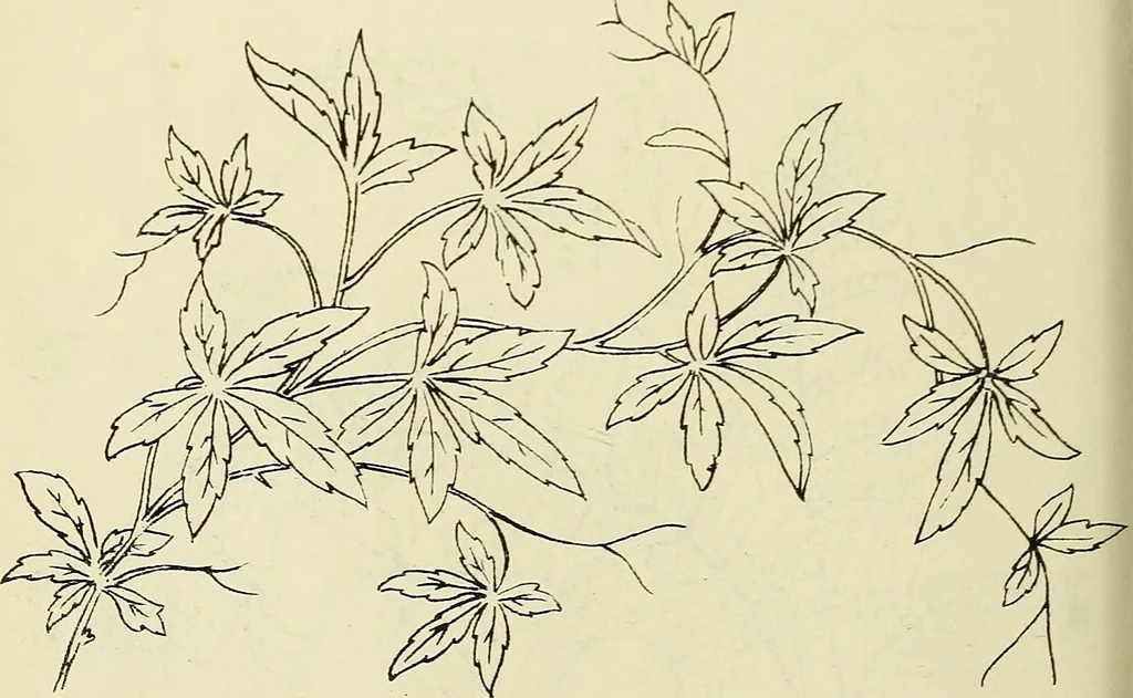 An illustration from Briggs & Co.'s patent transferring papers : patented for the United States of America, 1880, leaf 159