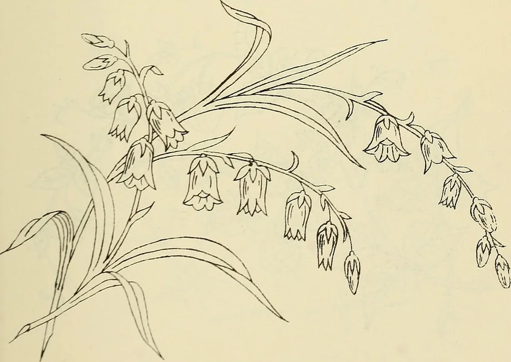 An illustration from Briggs & Co.'s patent transferring papers : patented for the United States of America, 1880, leaf 160