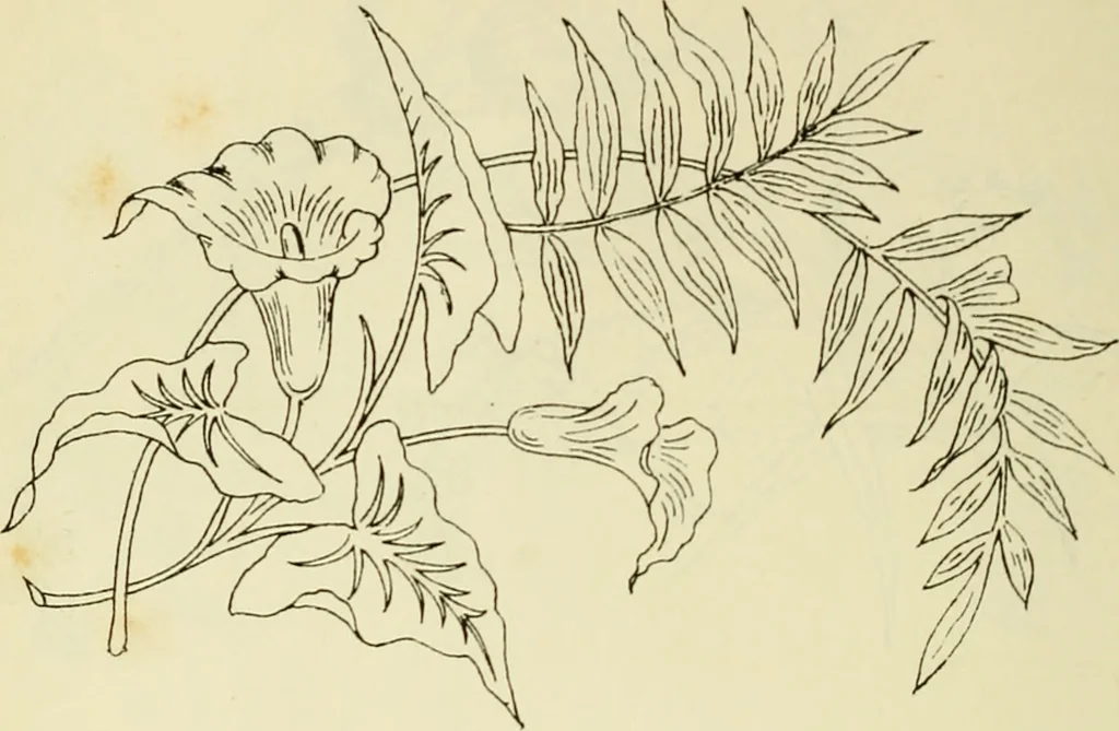 An illustration from Briggs & Co.'s patent transferring papers : patented for the United States of America, 1880, leaf 161