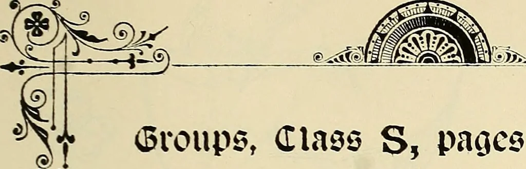 An illustration from Briggs & Co.'s patent transferring papers : patented for the United States of America, 1880, leaf 162