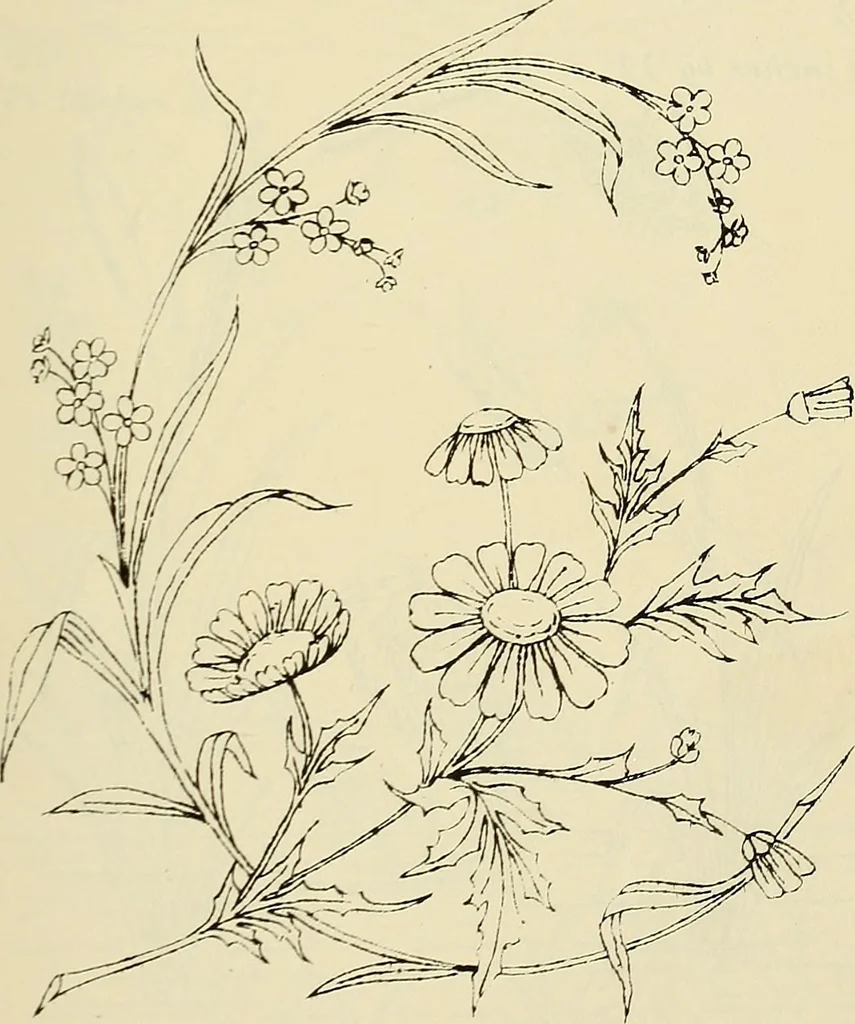 An illustration from Briggs & Co.'s patent transferring papers : patented for the United States of America, 1880, leaf 162