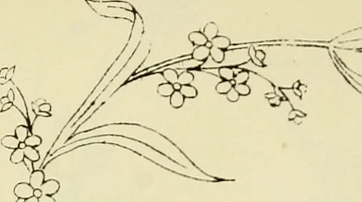 An illustration from Briggs & Co.'s patent transferring papers : patented for the United States of America, 1880, leaf 165