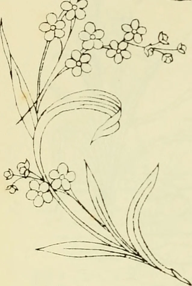 An illustration from Briggs & Co.'s patent transferring papers : patented for the United States of America, 1880, leaf 165