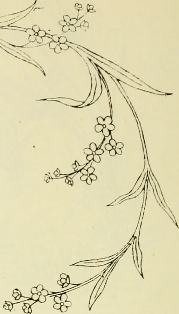 An illustration from Briggs & Co.'s patent transferring papers : patented for the United States of America, 1880, leaf 165