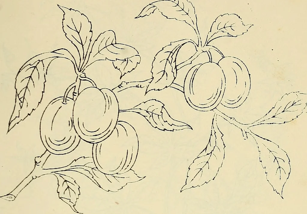 An illustration from Briggs & Co.'s patent transferring papers : patented for the United States of America, 1880, leaf 166