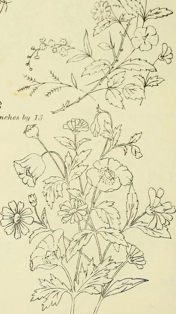 An illustration from Briggs & Co.'s patent transferring papers : patented for the United States of America, 1880, leaf 173