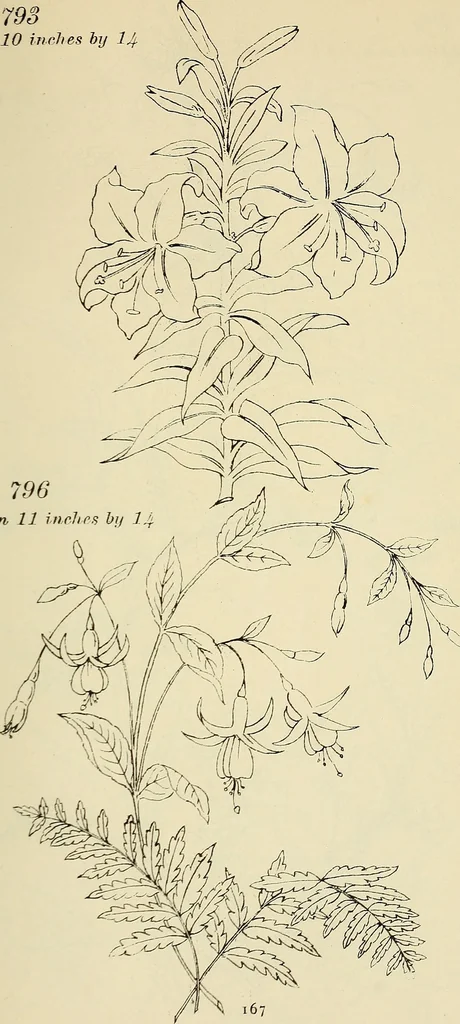 An illustration from Briggs & Co.'s patent transferring papers : patented for the United States of America, 1880, leaf 176