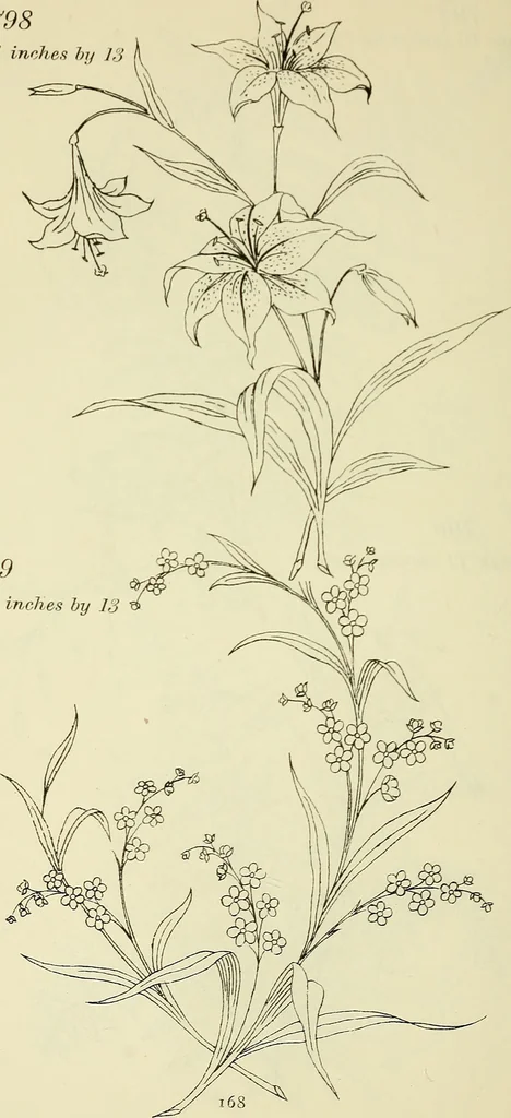 An illustration from Briggs & Co.'s patent transferring papers : patented for the United States of America, 1880, leaf 177