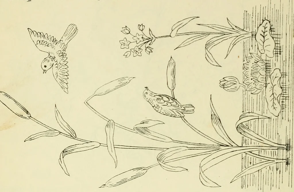 An illustration from Briggs & Co.'s patent transferring papers : patented for the United States of America, 1880, leaf 185