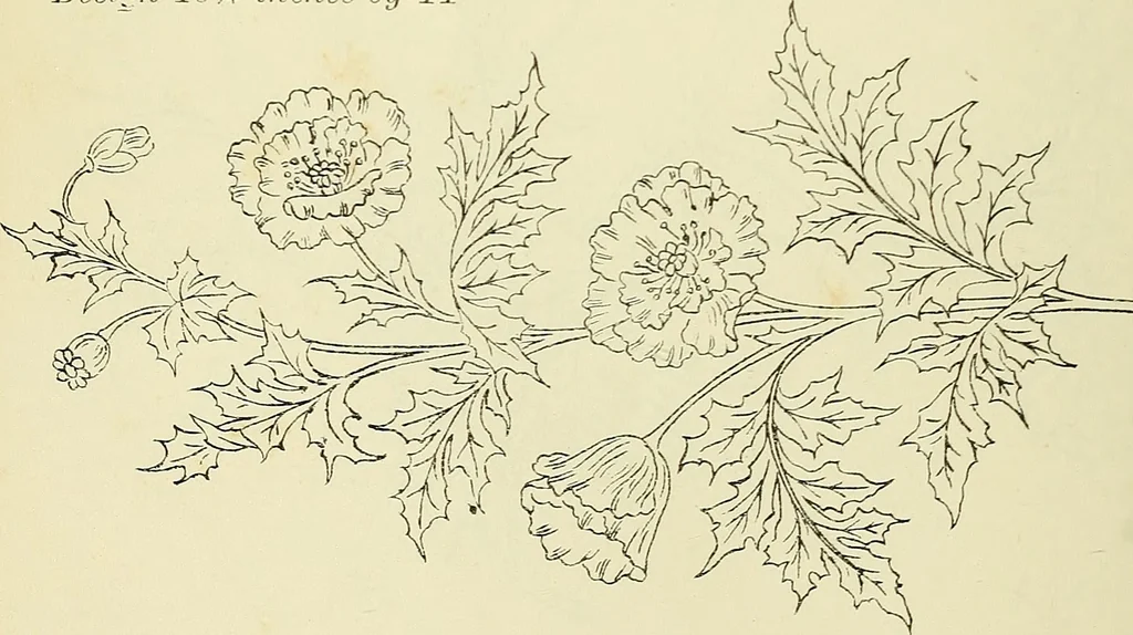 An illustration from Briggs & Co.'s patent transferring papers : patented for the United States of America, 1880, leaf 185