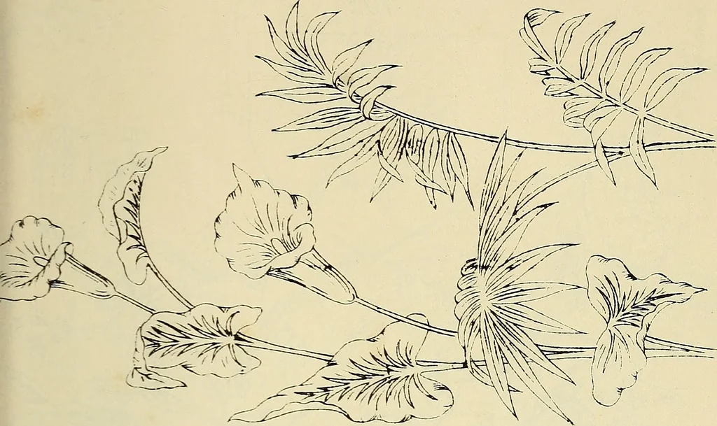 An illustration from Briggs & Co.'s patent transferring papers : patented for the United States of America, 1880, leaf 186