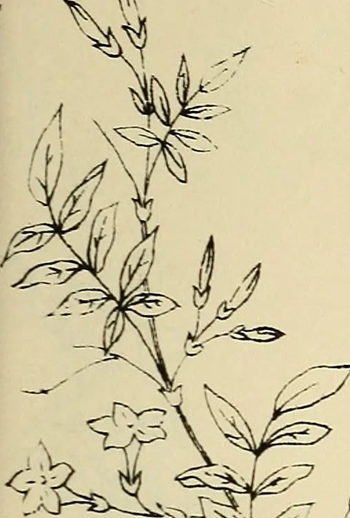 An illustration from Briggs & Co.'s patent transferring papers : patented for the United States of America, 1880, leaf 190